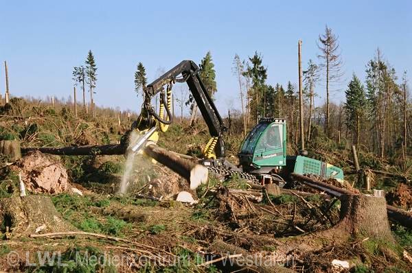 11_578 Schadensbilder in den Wäldern des Sauerlandes nach dem Orkan "Kyrill" am 18. und 19. Januar 2007