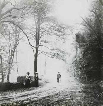 Spaziergänger auf einem Waldweg, undatiert, um 1906? [identisch 07_816]