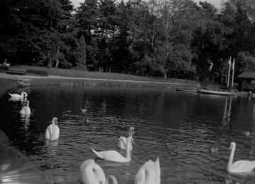 Richard Schirrmann, Reiseimpressionen: See in einem Stadtpark (?), ohne Ort, undatiert