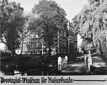 Provinzialmuseum für Naturkunde, Altbau von 1889/91
