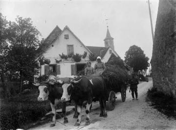 Begegnungen, Westfront 1914-1918: Bäuerin mit Heufuhre in Romansweiler (Romanswiller), Elsass, undatiert