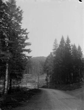 Erster Weltkrieg, Vogesen: Landstraße in den Vogesen, im Hintergrund: Hangbarrikaden vor einem deutschen Feldlager, ohne Ort, undatiert
