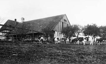 Bauernhof in der Dahler Heide, von 1898-1971 Gebiet der "Rieselfelder Dortmund" zwischen Datteln, Waltrop und Lünen zur Abwasserverwertung der Stadt Dortmund