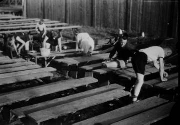 Kinderdorf Staumühle, Arbeitsdienst: Jungen beim Bänke zimmern – Ferienlager für bedürftige Kinder aus dem Ruhrgebiet, gegründet und betrieben von Richard Schirrmann 1925-1932, undatiert