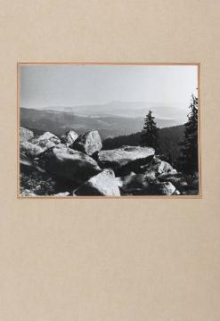Bayerischer Wald am Lusen, in: Fotoalbum "Jugendherbergen in Bayern" nach 1945, erstellt für Richard Schirrmann durch den Landesverband Bayern für Jugendwandern und Jugendherbergen e.V.