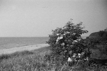 Ostsee bei Kalkhorst zwischen Lübeck und Wismar (Mecklenburg), um 1935