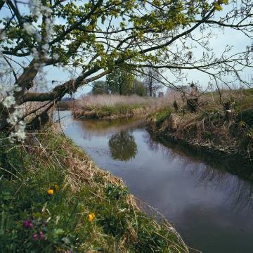 Feuchtwiesen an der Ahse bei Berwicke, seit 1994 Naturschutzgebiet