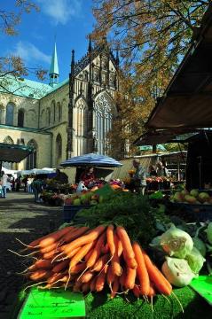 Norbert Schweins: Wochenmarkt Markt auf dem Domplatz in Münster