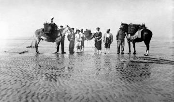 Garnelenfischerei zu Pferde am Nordseestrand von Oostduinkerke, Belgien - Urlaubsbild, 1913