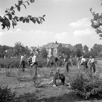 Erziehungsheim bei Klausheide: Jugendliche bei der Gartenarbeit