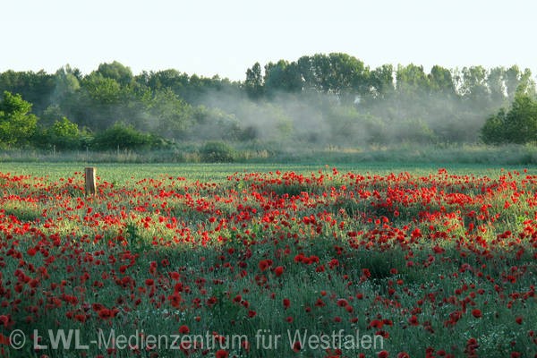 10_10595 Fotowettbewerb "Westfalen entdecken" - Premiumauswahl