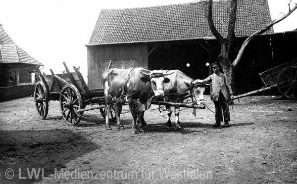 08_709 Slg. Schäfer – Westfalen und Vest Recklinghausen um 1900-1935