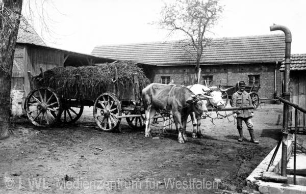 08_710 Slg. Schäfer – Westfalen und Vest Recklinghausen um 1900-1935