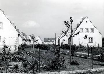 Bochum, Auf dem Rüggen: Siedlungshäuser mit Nutzgärten, undatiert, um 1955