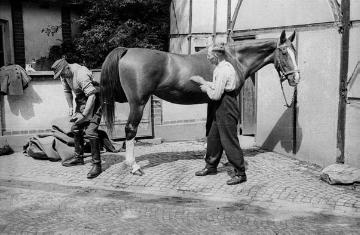 Die Nottulner Fabrikantenfamilie Rhode: Förster Scheffer (links) und Wilhelm Helmer mit Rhodes Pferd, undatiert, Ende 1940er Jahre?