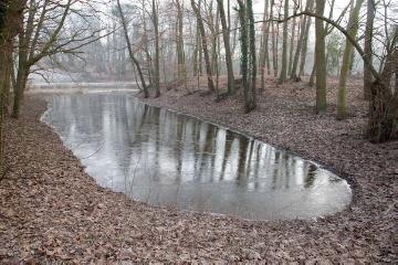 Winterlake (Hochwasserüberlaufbecken) an der Ems bei Kloster Bentlage, Rheine - bei Rückzug des Hochwassers konnte mit einer besonderen Vorrichtung leicht Fisch gefangen werden