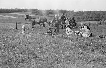 Die Nottulner Fabrikantenfamilie Günter Rhode und Gäste bei einem Picknick in den Baumbergen, Ende 1940er Jahre