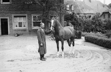 Die Nottulner Fabrikantenfamilie Rhode: Werksangestellter Wilhelm Helmer mit Rhodes Pferd, undatiert, Ende 1940er Jahre?