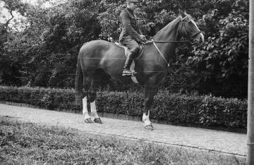 Die Nottulner Fabrikantenfamilie Rhode: Förster Scheffer beim Ausritt mit Rhodes Pferd, undatiert, Ende 1940er Jahre?