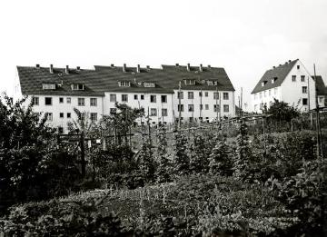 Mehrstöckige Mietshäuser in Kierspe, Birkenweg, Rückansicht der Hausnummern 10 bis 16, undatiert, um 1955