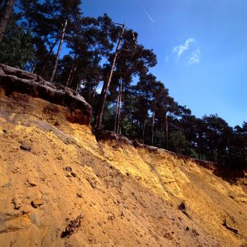 Der Hünsberg in der Coesfelder Heide bei Stevede - 106 Meter hohe Erhebung am Rande des Weißen Venns, entstanden aus den Sandablagerungen eines kreidezeitlichen Schelfmeeres, ehemaliges Quarzabbaugebiet