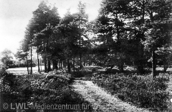 03_3972 Aus privaten Bildsammlungen: Slg. Niemöller - Gütersloh zur Zeit des Ersten Weltkrieges