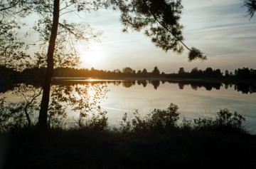 Das "Heilige Meer" in der Moor-, Heide- und Teichlandschaft zwischen Hopsten und Recke, seit 1930 Naturschutzgebiet, als Außenstelle betreut durch das LWL-Museum für Naturkunde, Münster