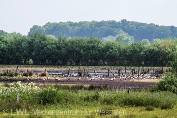 11_2918 Regionale 2016 - Westmünsterland: Fotodokumentation ausgewählter Förderprojekte 2012-2014