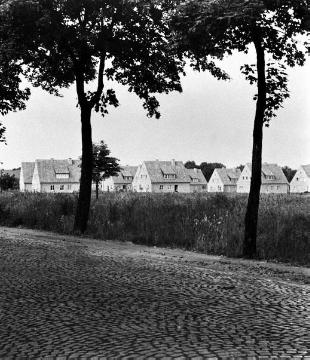 Selbsthilfe-Eigenheimsiedlung in Münster-Kinderhaus (ohne Standortangabe), undatiert, 1930er Jahre? (Bildsammlung Heimatmuseum Kinderhaus)