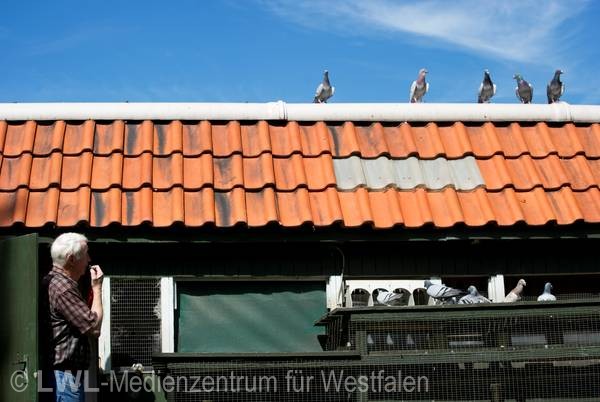 11_2368 Städte Westfalens: Gelsenkirchen - Fotodokumentation 2010-2012