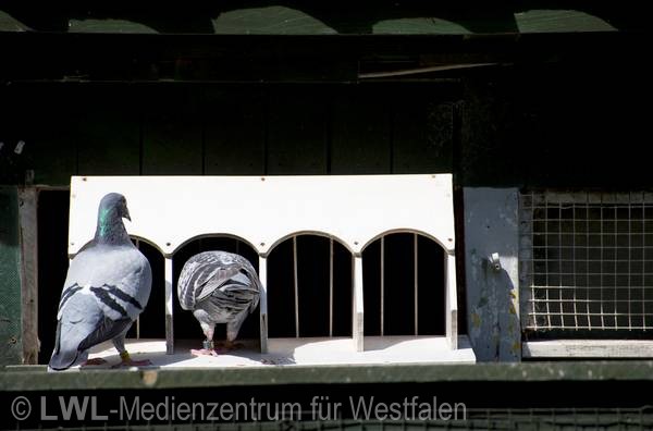 11_2373 Städte Westfalens: Gelsenkirchen - Fotodokumentation 2010-2012