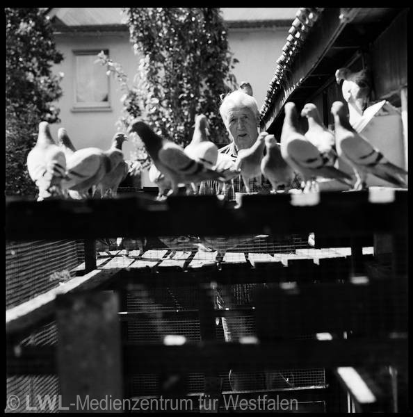 11_2383 Städte Westfalens: Gelsenkirchen - Fotodokumentation 2010-2012