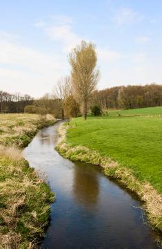 Die Berkel im natürlichen Flussbett bei Stadtlohn-Estern - Projektvorschlag zur Regionale 2016 unter dem Motto "Mit dem Fluss leben": Ausbau eines nachhaltigen Hochwasserschutzes an der Berkel und ökologische Aufwertung des Flusses