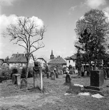 Dorffriedhof Herford