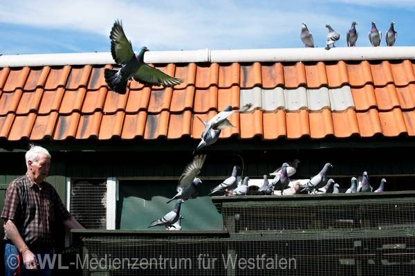 11_2367 Städte Westfalens: Gelsenkirchen - Fotodokumentation 2010-2012