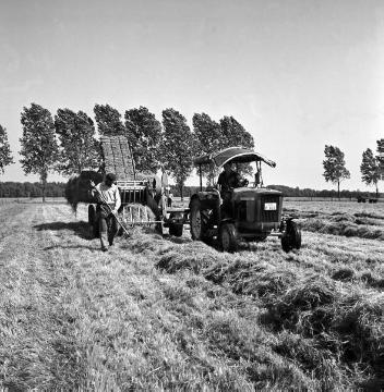 Landgut Antoniusheim, Heuernte mit Traktor und Strohbinder