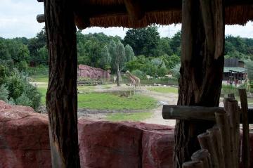 ZOOM Erlebniswelt Gelsenkirchen, Themenbereich Afrika: Blick vom Serengeti-View in den Lebensraum Busch-Baum-Savanne