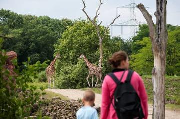 ZOOM Erlebniswelt Gelsenkirchen: Lebensraum Busch-Baum-Savanne im Themenbereich Afrika