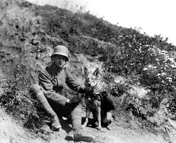 Infanterie im Ersten Weltkrieg: Soldat und Meldehund mit Brieftaubenkorb, Champagne (Frankreich) 1918