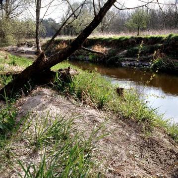 Die Berkel im natürlichen Flussbett bei Stadtlohn-Estern - Projektvorschlag zur Regionale 2016 unter dem Motto "Mit dem Fluss leben": Ausbau eines nachhaltigen Hochwasserschutzes an der Berkel und ökologische Aufwertung des Flusses