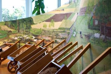 Dauerausstellung des Naturschutzzentrums Westliches Münsterland, Bildungswerk der Biologischen Station Zwillbrocker Venn mit Schwerpunkt Natur- und Umweltbildung für Kinder und Erwachsene