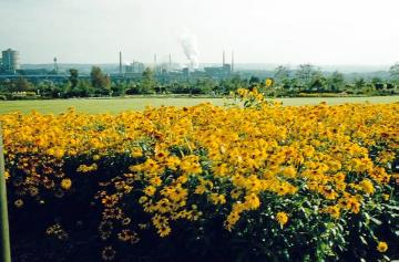 Bundesgartenschau im Dortmunder Westfalenpark, 1959 - im Hintergrund das Hochofenwerk Phoenix-West in Dortmund-Hörde (stillgelegt 1998).
