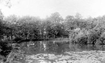 Wassermühle bei Haus Niering, 1917?