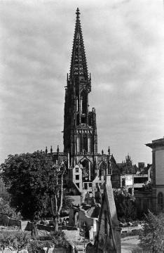Münster am Ende des Zweiten Weltkrieges, um 1945 (?): Ruine des Paulus-Doms (vorn) mit Blick zum beschädigten Lamberti-Kirchturm