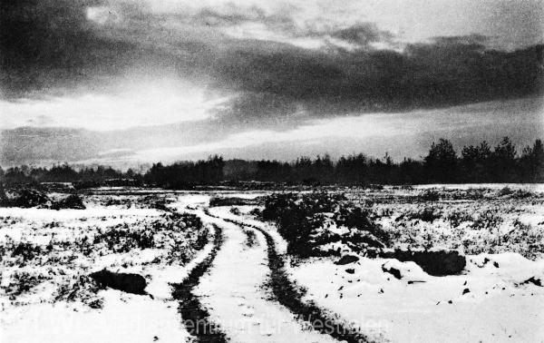 03_3980 Aus privaten Bildsammlungen: Slg. Niemöller - Gütersloh zur Zeit des Ersten Weltkrieges