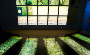 Dauerausstellung des Naturschutzzentrums Westliches Münsterland, Bildungswerk der Biologischen Station Zwillbrocker Venn mit Schwerpunkt Natur- und Umweltbildung für Kinder und Erwachsene