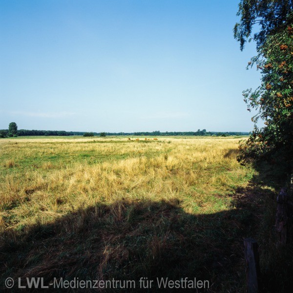 11_2878 Regionale 2016 - Westmünsterland: Fotodokumentation ausgewählter Förderprojekte 2012-2014