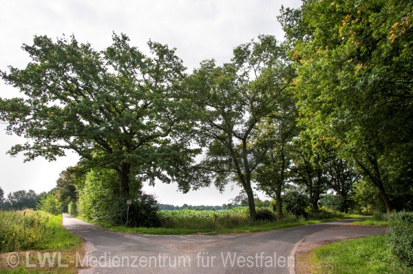 11_2893 Regionale 2016 - Westmünsterland: Fotodokumentation ausgewählter Förderprojekte 2012-2014