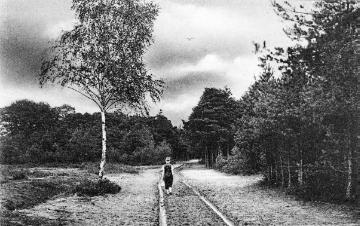 Landweg in der Gütersloher Heide (bei Kattenstroth?), undatiert, um 1914?