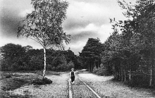 03_3975 Aus privaten Bildsammlungen: Slg. Niemöller - Gütersloh zur Zeit des Ersten Weltkrieges